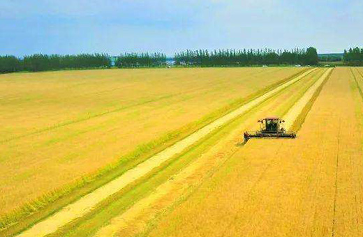 蒙東甕?，F(xiàn)代農(nóng)業(yè)服務(wù)